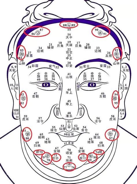 歲數面相年齡|1到100歲，面相流年氣運圖教你如何看自己的面相